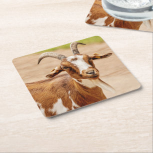 Porta-copo De Papel Quadrado Castanho e Cabra Branca