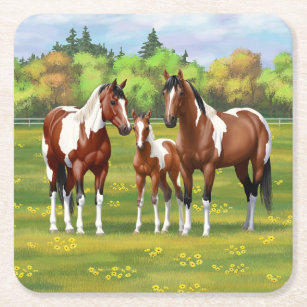 Porta-copo De Papel Quadrado Cavalos Do Quarto De Pintura De Bay Em Pastagem De