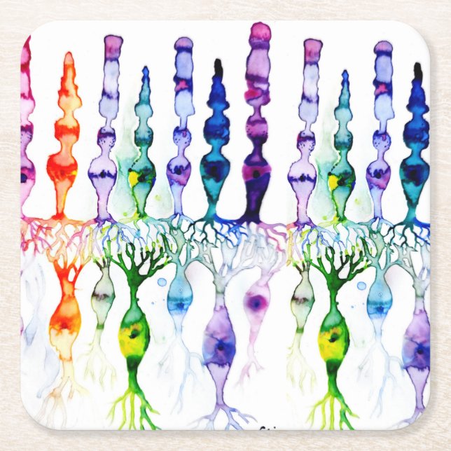 Porta-copo De Papel Quadrado Células de cone e neurônio bipolar da retina (Frente)