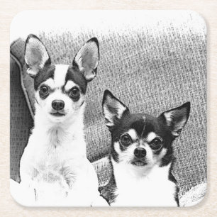 Porta-copo De Papel Quadrado Chihuahua