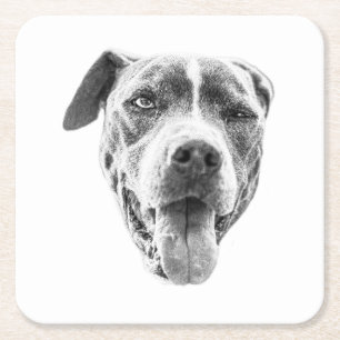 Porta-copo De Papel Quadrado Chilly Dusk Canine Echo