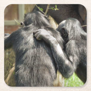 PORTA-COPO DE PAPEL QUADRADO CHIMPANZÉS