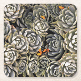 Porta-copo De Papel Quadrado Cinzas e tons castanhos