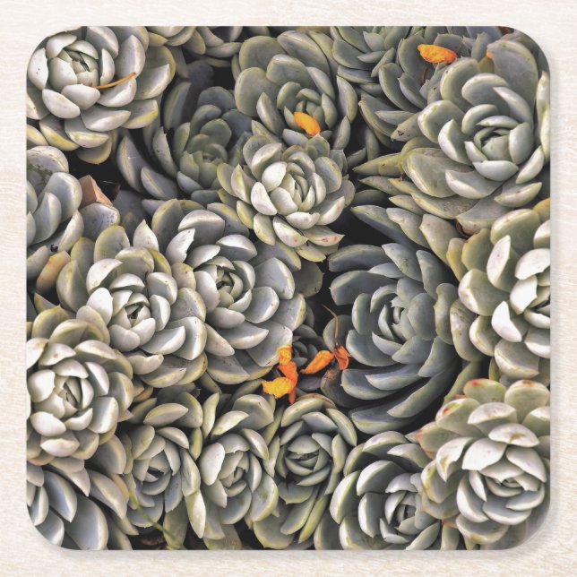 Porta-copo De Papel Quadrado Cinzas e tons castanhos (Frente)