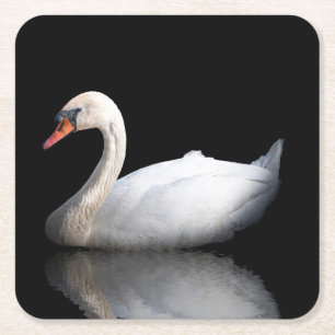 Porta-copo De Papel Quadrado Cisne branco sobre preto