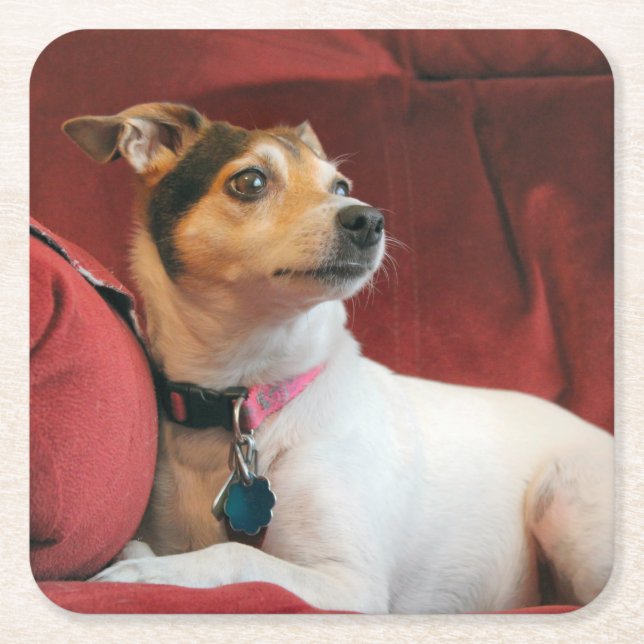 Porta-copo De Papel Quadrado Clássico (Frente)