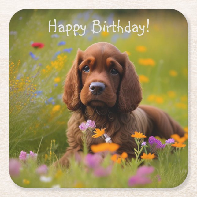 Porta-copo De Papel Quadrado Cocker Spaniel (Frente)