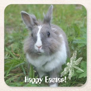 Porta-copo De Papel Quadrado Coelhinho