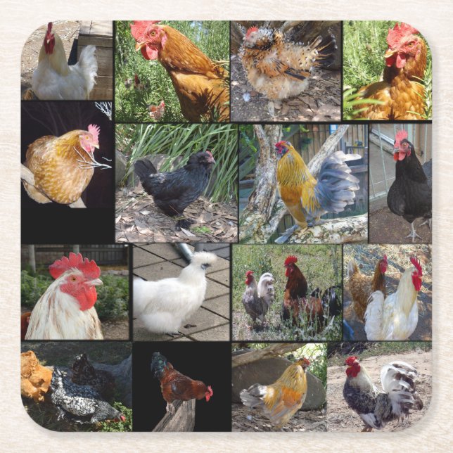 Porta-copo De Papel Quadrado Colagem Fotográfica De Galinhas E Galos, (Frente)