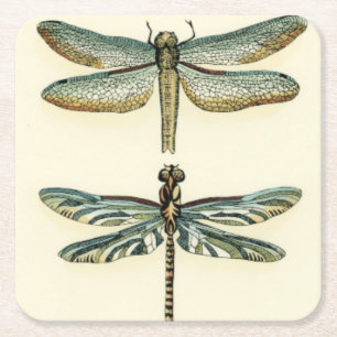 Porta-copo De Papel Quadrado Coleção de Dragonfly por Chariklia Zarris