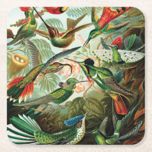 Porta-copo De Papel Quadrado Colibris por Ernst Haeckel