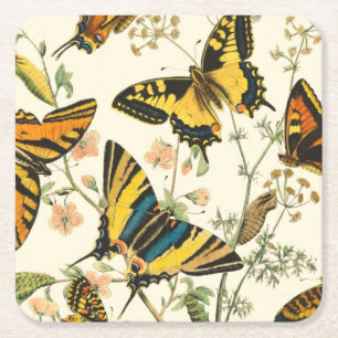 Porta-copo De Papel Quadrado Coloração das Borboletas e das lagartas