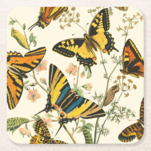 Porta-copo De Papel Quadrado Coloração das Borboletas e das lagartas