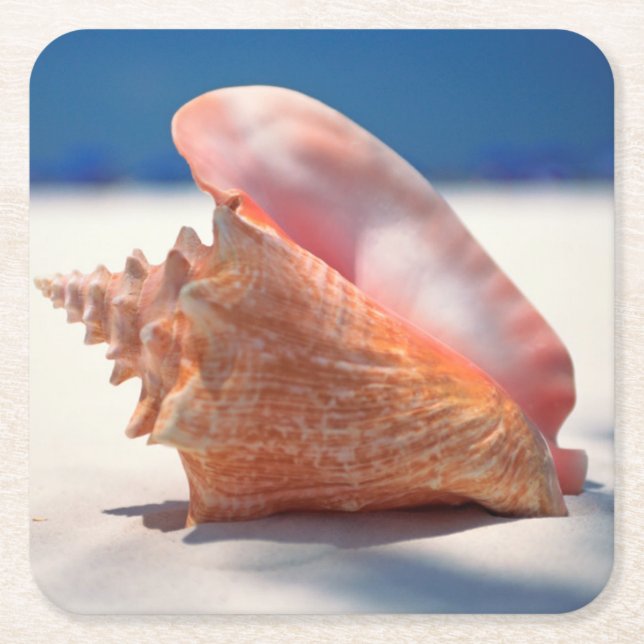 Porta-copo De Papel Quadrado Conch Shell na praia 2 (Frente)