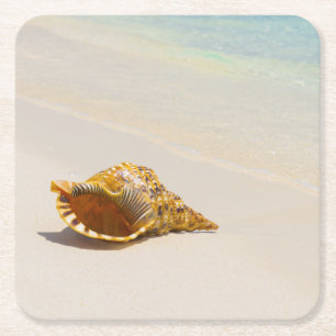 Porta-copo De Papel Quadrado Conch Shell na praia 3