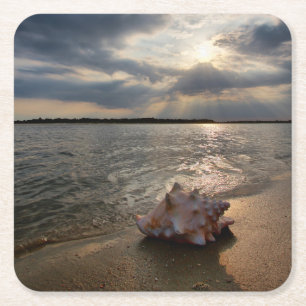 Porta-copo De Papel Quadrado Conch Shell na praia St Augustine, Fl