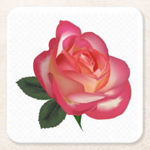 Porta-copo De Papel Quadrado Conjunto de Portas copos de Rosa vermelha bonito