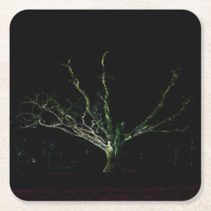 Porta-copo De Papel Quadrado Costa Escura 1