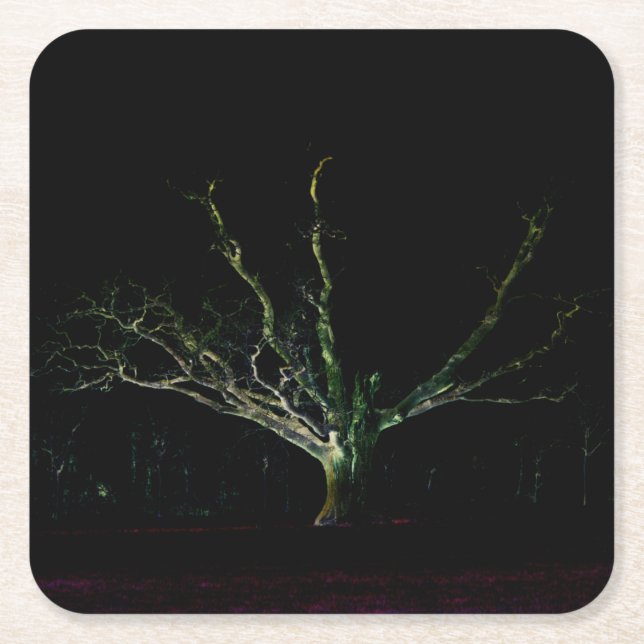 Porta-copo De Papel Quadrado Costa Escura 1 (Frente)