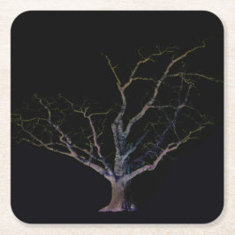 Porta-copo De Papel Quadrado Costa Escura 2