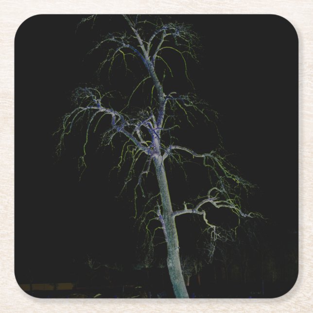 Porta-copo De Papel Quadrado Costa Escura 8 (Frente)