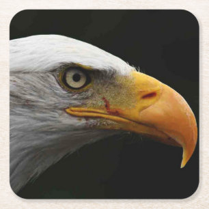 Porta-copo De Papel Quadrado Costeira de Bald Eagle