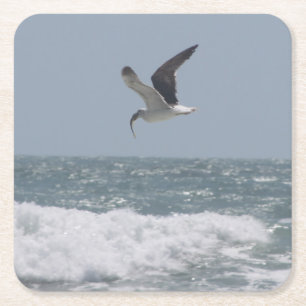 Porta-copo De Papel Quadrado Costeletas De Bebida De Seagull