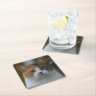 Porta-copo De Papel Quadrado Crie Sua Própria Foto Personalizada de Gato de Est