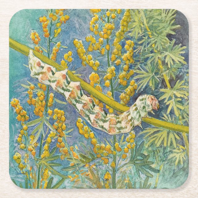 Porta-copo De Papel Quadrado Cucullia Absinthii Wormwood Caterln (Frente)