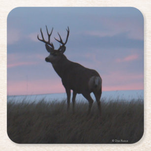 Porta-copo De Papel Quadrado D3 Mule Deer Buck Sunrise Buck