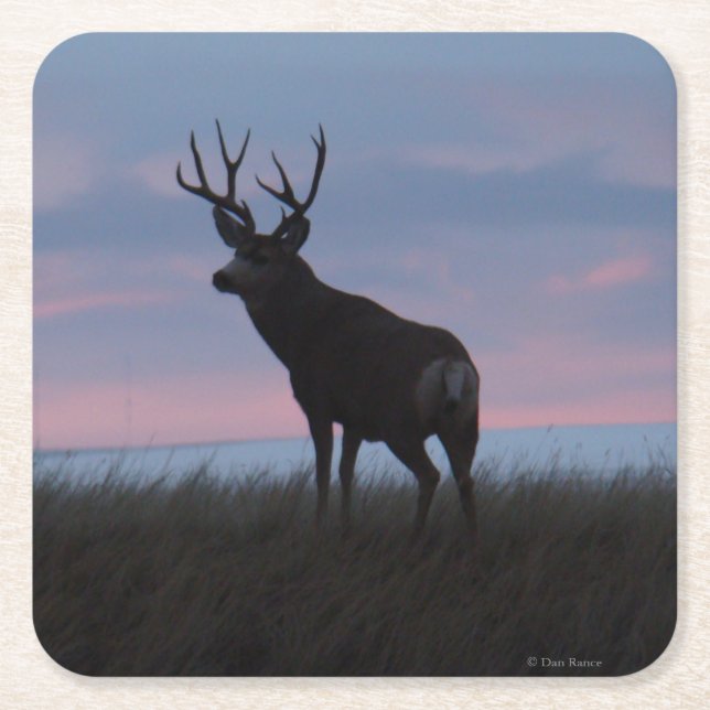 Porta-copo De Papel Quadrado D3 Mule Deer Buck Sunrise Buck (Frente)