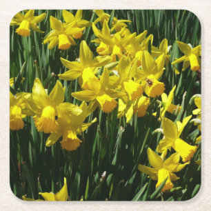 Porta-copo De Papel Quadrado Daffodils Amarelos I Flores De Mola Cheery
