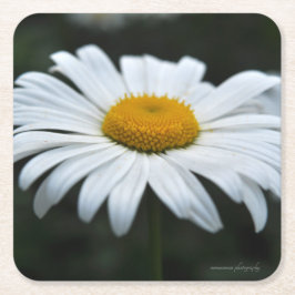 Porta-copo De Papel Quadrado Daisy - Enfrentar