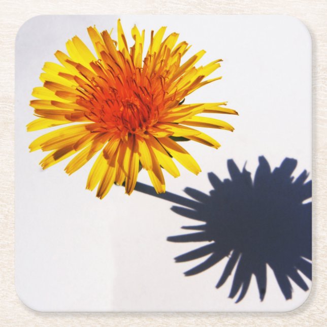Porta-copo De Papel Quadrado Dandelion e Shadow Costercnm (Frente)