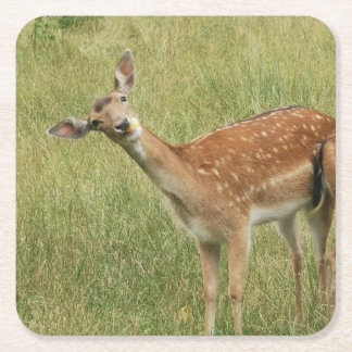 Porta-copo De Papel Quadrado Deer Porta copos