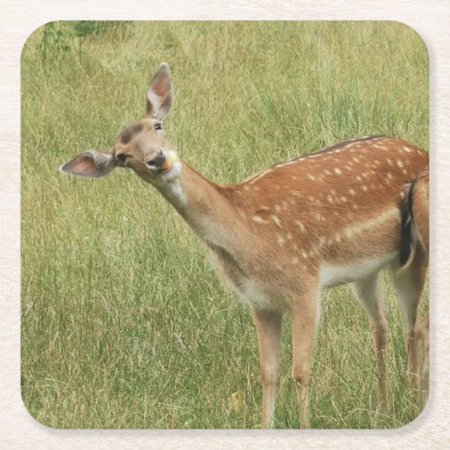 Porta-copo De Papel Quadrado Deer Porta copos (Frente)
