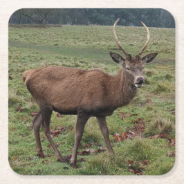 Porta-copo De Papel Quadrado Deer Porta copos