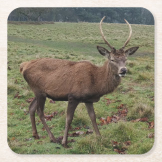 Porta-copo De Papel Quadrado Deer Porta copos