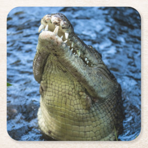 Porta-copo De Papel Quadrado Dentes De Crocodilo Água