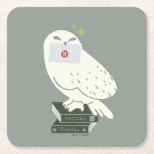 Porta-copo De Papel Quadrado Desenho Caprichoso da Hedwig com Carta