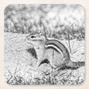 Porta-copo De Papel Quadrado Desenho do Chipmunk
