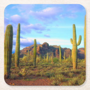 Porta-copo De Papel Quadrado Deserto em primavera