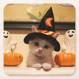 Porta-copo De Papel Quadrado Design de Padrão de Kitten de Halloween