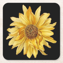 design floral, girassóis, fundo preto