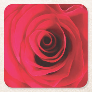 Porta-copo De Papel Quadrado Detalhe da flor de rosa vermelha