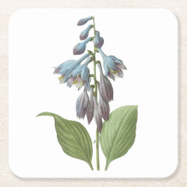 Porta-copo De Papel Quadrado dia-dia (Hemerocallis caerulea) por Redouté