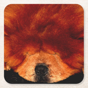 Porta-copo De Papel Quadrado Dormir no litoral Chow Chow