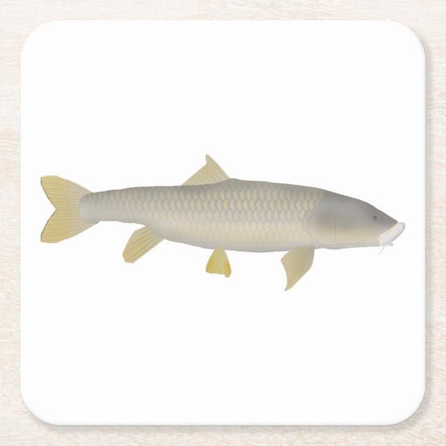 Porta-copo De Papel Quadrado Dourado Mahseer (Frente)