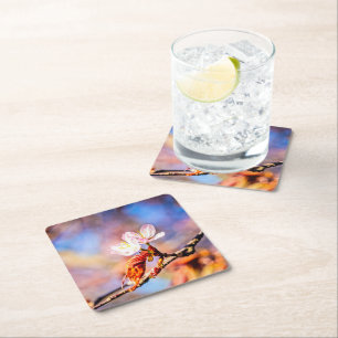 Porta-copo De Papel Quadrado Duas Incríveis Flores Sakura. Fundo Cor-de-rosa, 