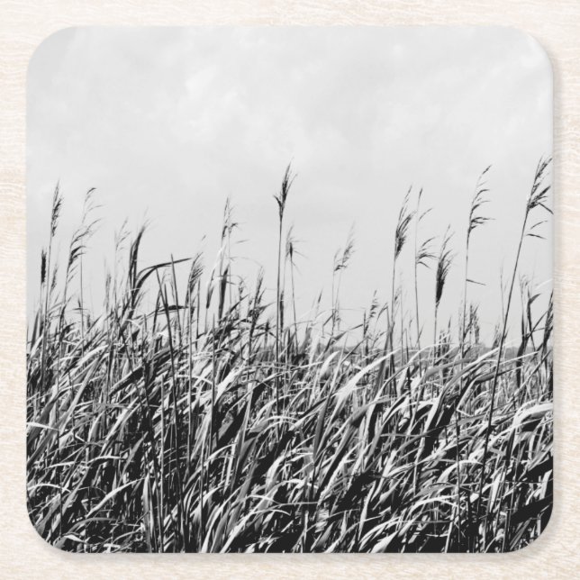 Porta-copo De Papel Quadrado Dune Triptych III (Frente)